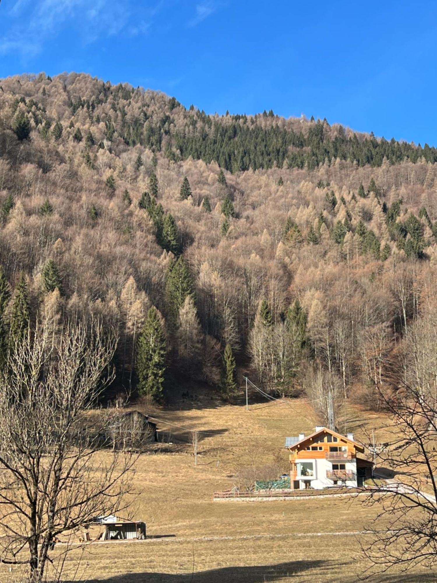 Appartamento Cuore Delle Dolomiti Cencenighe Exterior photo